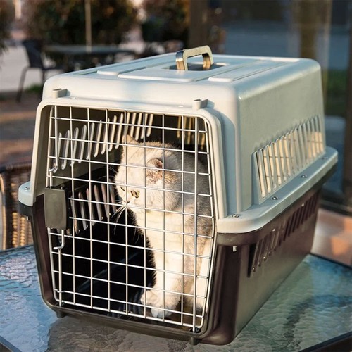 New large pet carrier cat - new,
