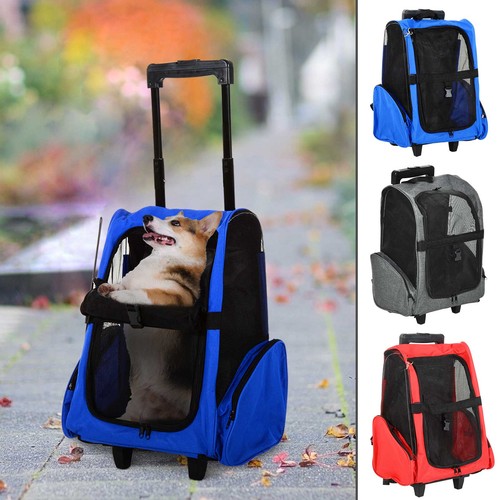 Pet travel backpack - pet, bag