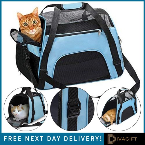 Blue cat carrier - blue, large