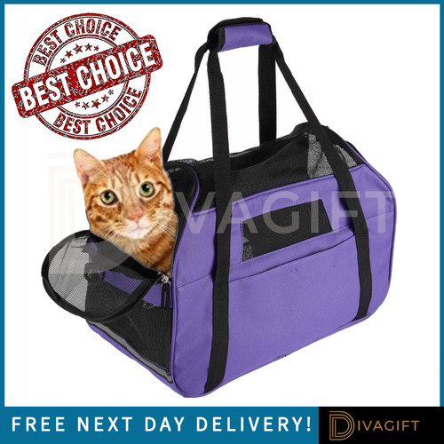 Purple cat carrier - cat, large