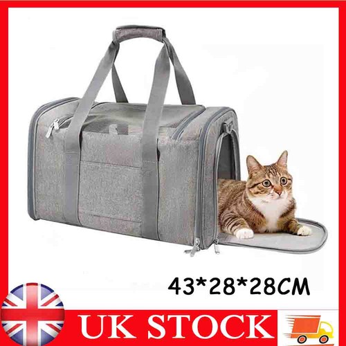Large pet travel - travel, cat