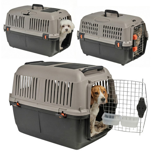 Iata approved dog - dog, cat
