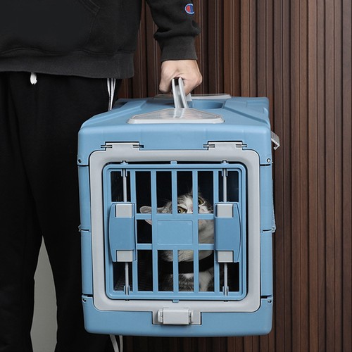 Portable pet carrier cat - pet,