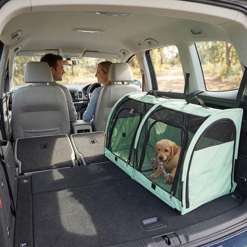 Large pet carrier bag - carrier, portable