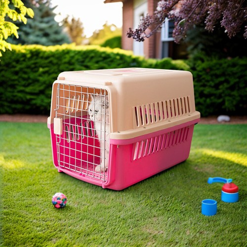 Pink large dog - large, box