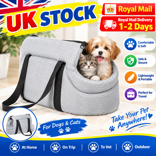 Dog cat puppy travel - dog,