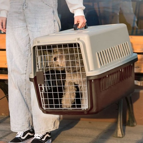 Extra large pet carrier cat - extra,