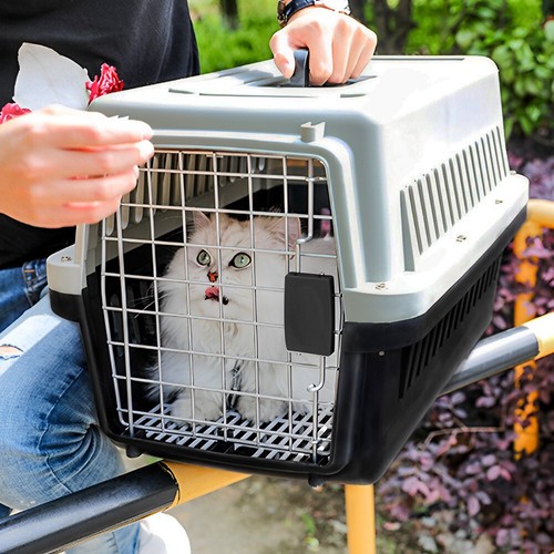 Extra large portable dog cat - large,