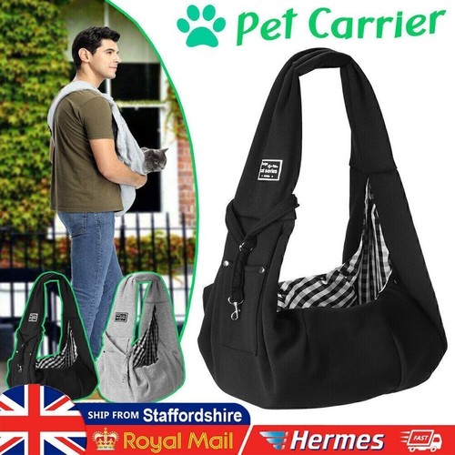 Pet dog cat puppy - pet,