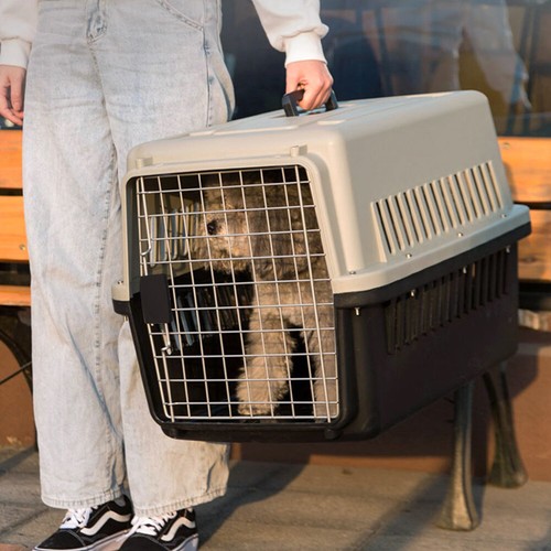 Portable dog cat - portable,